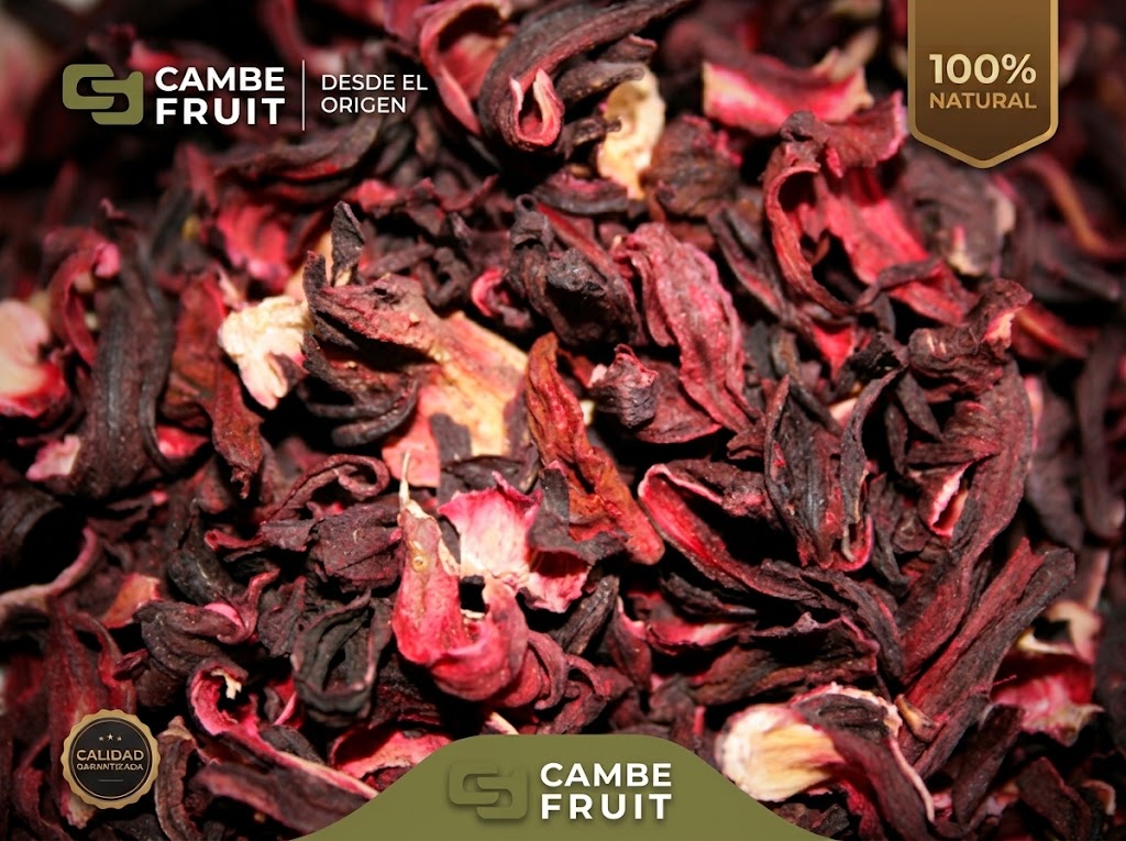 Flor de jamaica